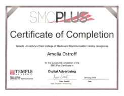Temple University's Digital Advertising Certificate